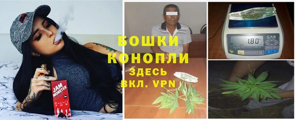 ПСИЛОЦИБИНОВЫЕ ГРИБЫ Арсеньев
