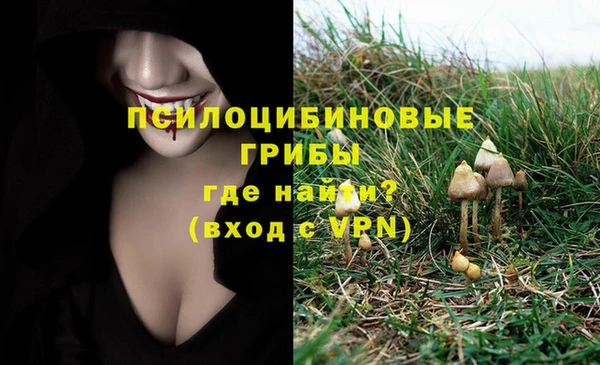 гашик Аркадак