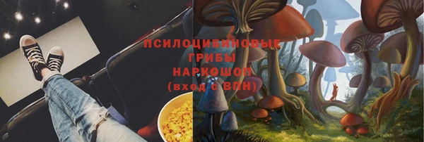 гашик Аркадак